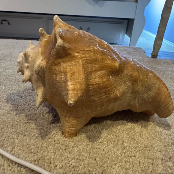 Large Natural Conch Shell - Picture 3 of 4